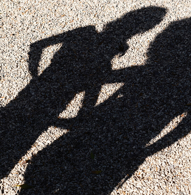 A silhoeutte of two people with arms linked together