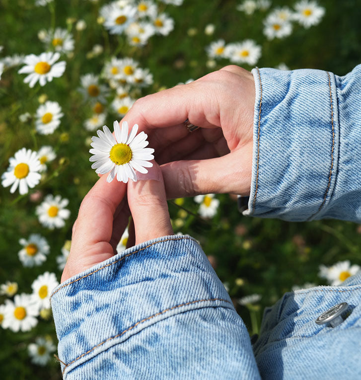 A person holding a daisy